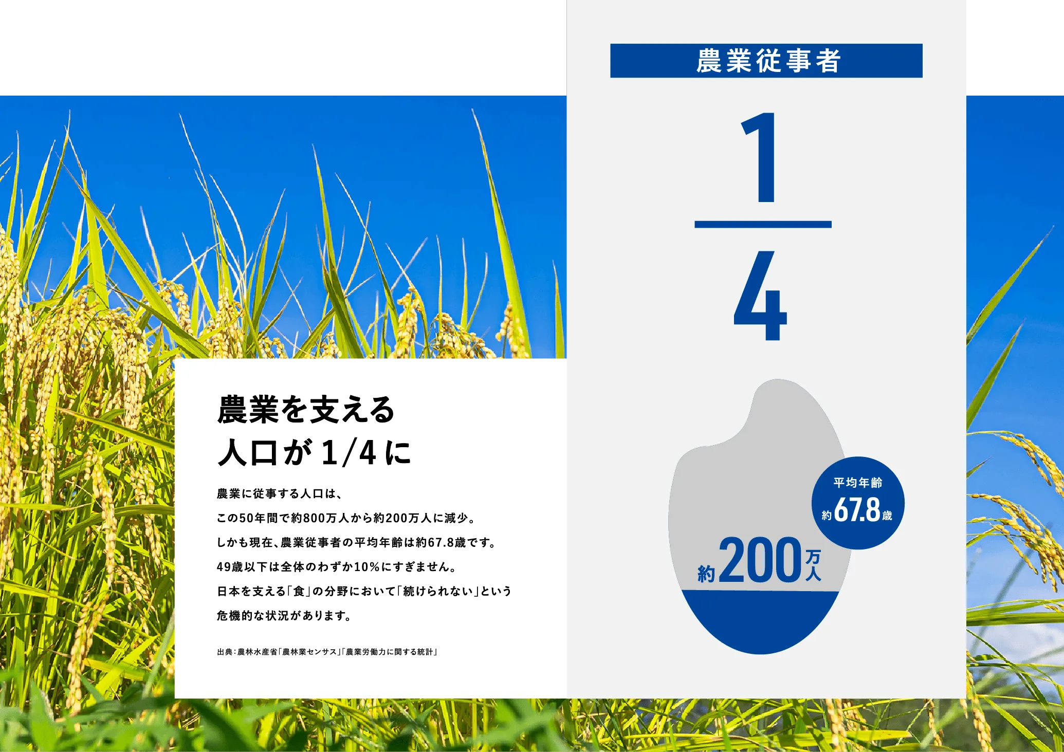 地域の今 スライド4